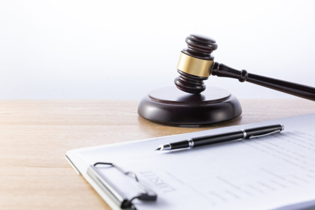 Professional Litigation Lawyer